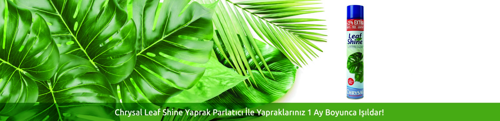 Chrysal Leafshine Yaprak Parlatıcı