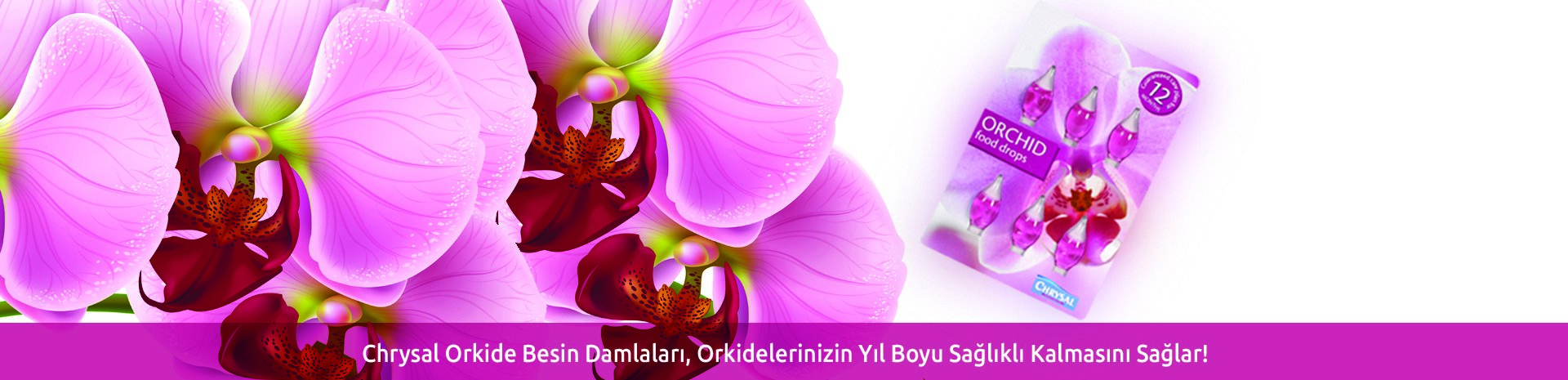 Orchid Food Drops - Besin Damlası