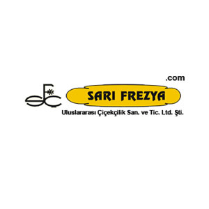 SARI FREZYA