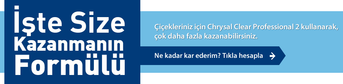 Chrysal Clear Professional 2 – Zarardan Kazanç Sağlamak