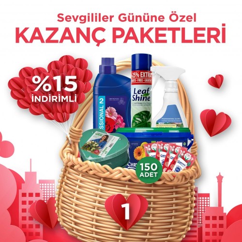 KAZANÇ PAKETİ 1