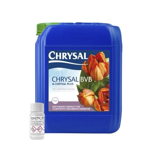 Chrysal BVB & Plus Lale iyileştirici 5L