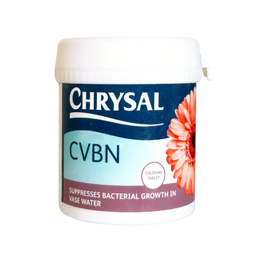 Chrysal CVBN Gerbera Treatment
