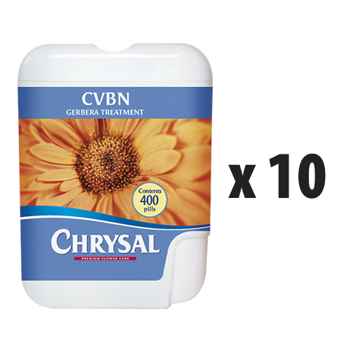 Chrysal CVBN Gerbera Treatment x 10