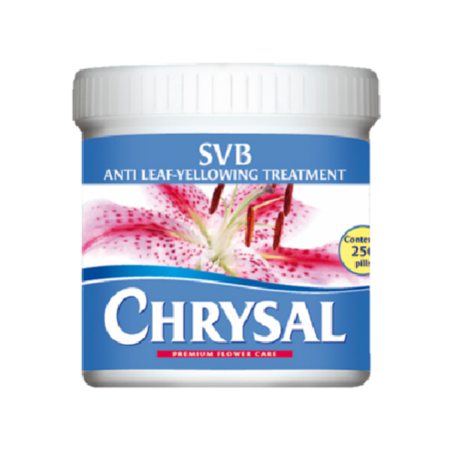 Chrysal SVB Lilyum İyileştirici tablet