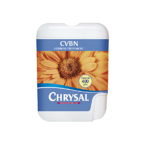 Chrysal CVBN Gerbera Treatment